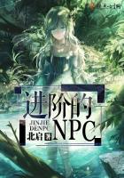 Advanced NPC